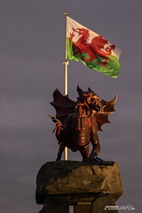 Bikschote: Ceremonie Welsh monument - 11/11